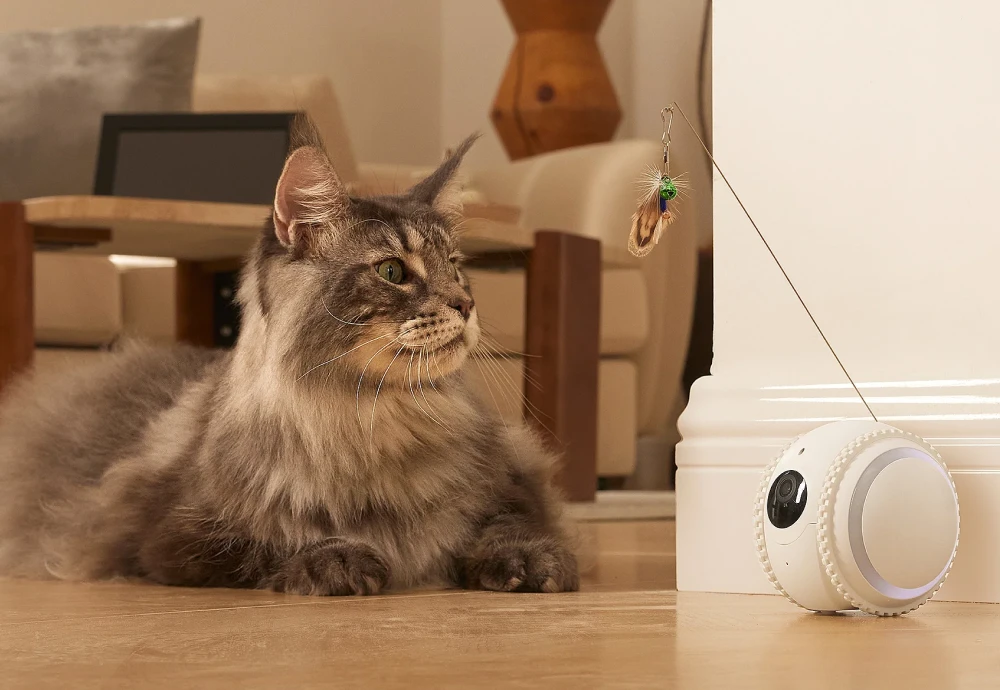 best at home pet camera